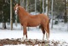 2016_01_Ganzkörper_Fotoshooting bei Müller