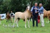 Zippo Dragon Welsh Show